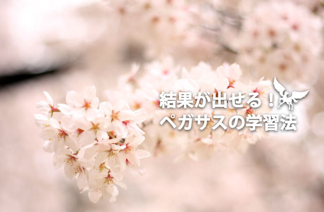 大分県大分市の学習塾 個別指導なら学習塾ペガサス明野教室へお任せ下さい。結果が出せる！ペガサスの学習法 携帯用イメージ写真3